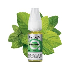 Elfliq Spearmint Salt Likit 10ml, taze nane yapraklı e-likit şişesi.