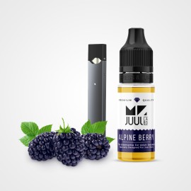 Mr. Juul Alpine Berry Salt Likit⤑20MG